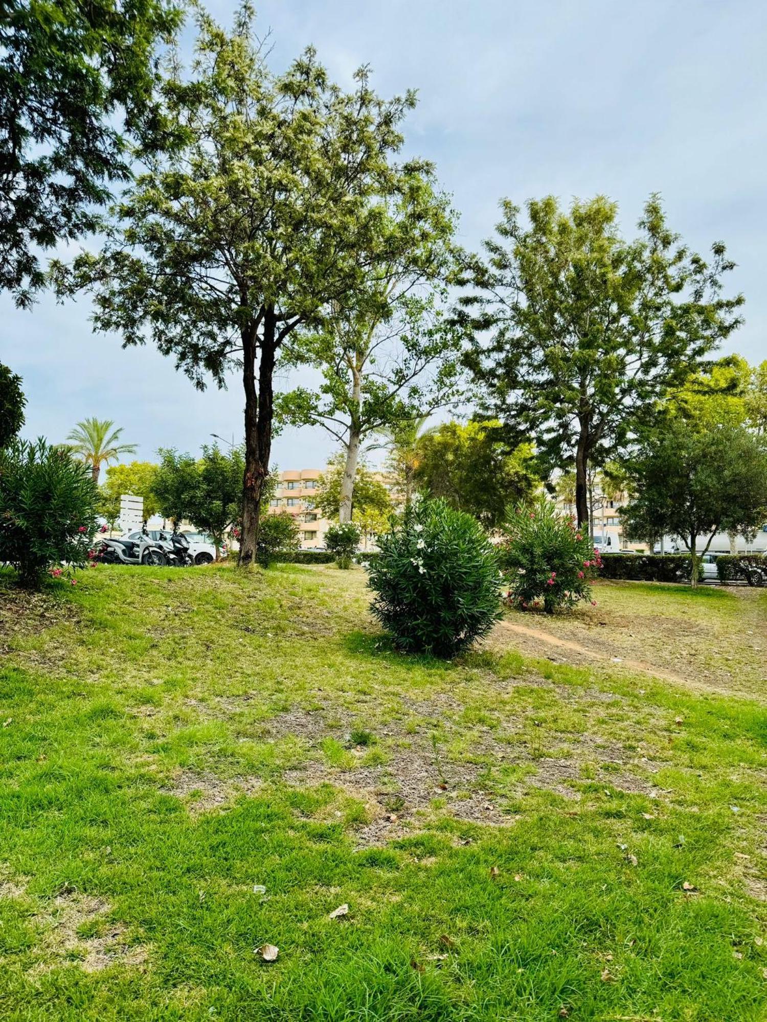 Apartamento T4 אלבופיירה מראה חיצוני תמונה